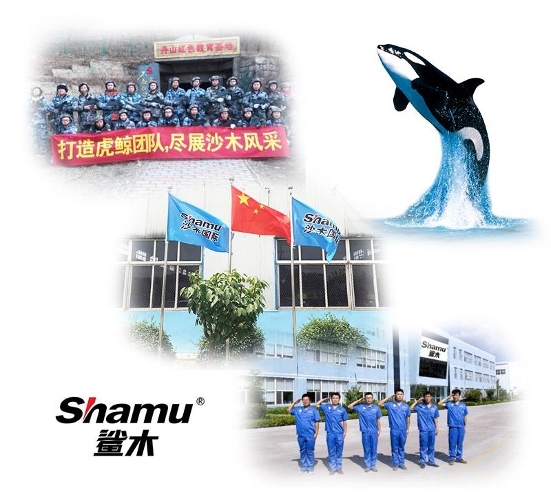 3公司详图